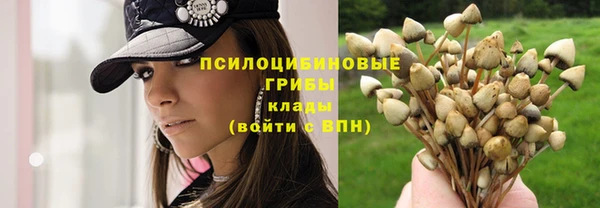 гашиш Ельня