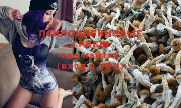 гашиш Ельня