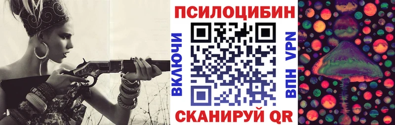 Купить  Боровичи  Псилоцибиновые грибы Cubensis 