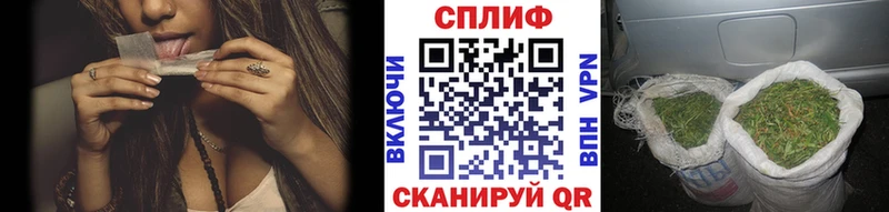 Купить закладки  Боровичи  Бошки Шишки семена 